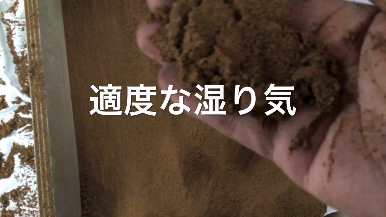 3 27 稲作の苗床の作り方 土も種も買わず肥料も入れない お金と手間をかけない苗の作り方 Youtube