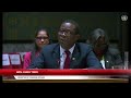 ‘’Peace can’t be imposed by force’’  Minister Hugh Todd, Guyana urges ceasefire,end to violation at