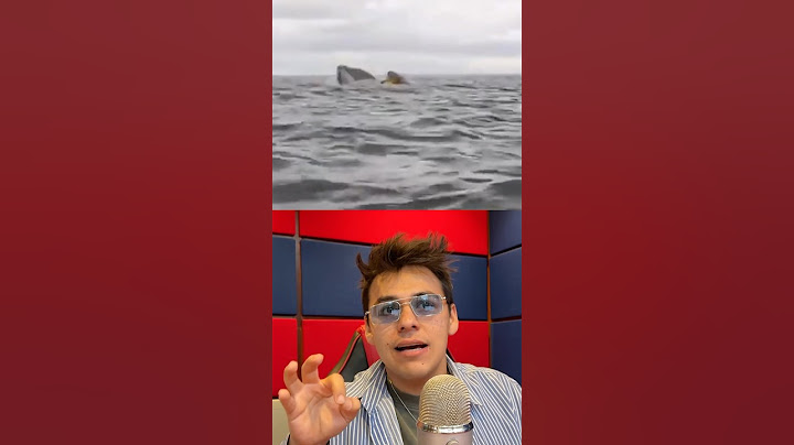 BALLENA SE TRAGA A UN HOMBRE 🐋🛶🚣 mientras su padre lo graba  sígueme para más curiosidades 🫶🏻