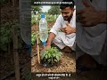 bottle se drip irrigation #viral #ytshorts #agriculture