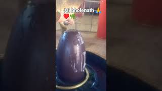 ##love 🙏🌿♥️👁️👁️Jai bhole Bhandari#shiv