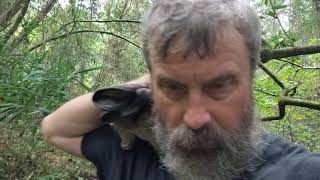 #treeknock #bigfoot A Knock In The Woods. #skunkape