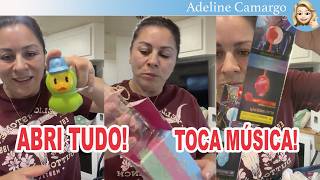 Minhas comprinhas que estava escondida na caixa @AdelineCamargo