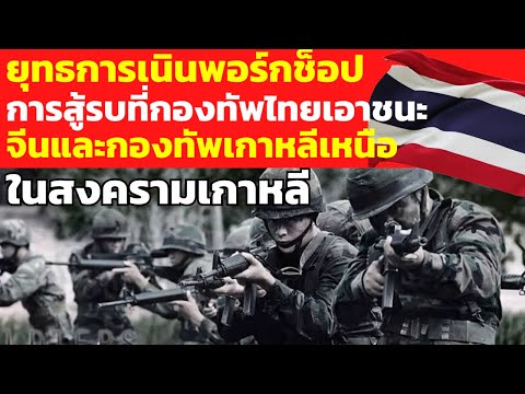 ทำไมถึงเรียกกองทัพไทยว่า เสือน้อย(พยัคฆ์น้อย): ยุทธการเนินเขาพอร์กช๊อป