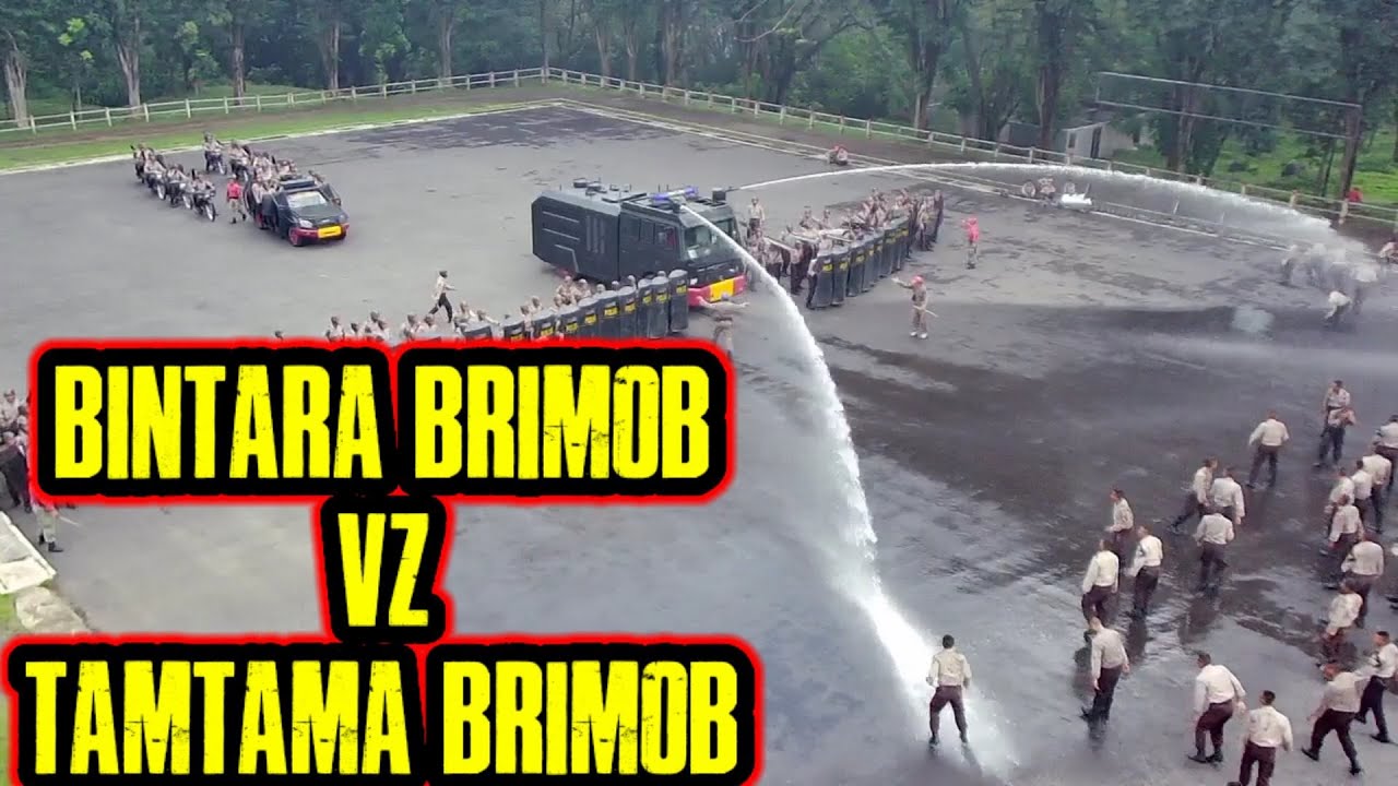 Seru‼️ Kemampuan Bintara Brimob dan Tamtama Brimob Watukosek tidak diragukan lagi #Part1