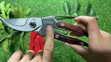 KÉO CẮT CÀNH CÂY TAY CẦM BỌC GỖ 0582132888