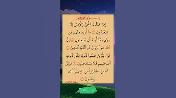 آيات من القرآن الكريم ❣️