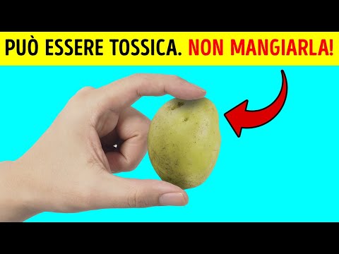 Video: Le patate verdi sono tossiche. Non mangiarli