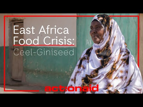 East Africa Food Crisis: Ceel-Giniseed