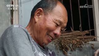 《共富经》 20260430 鱼跃财富来 | 农业致富经 Agriculture And Farming