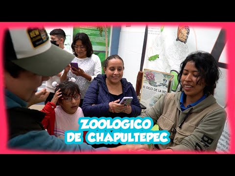 "ZOOLÓGICO DE CHAPULTEPEC" Feat. Los perritos de la pradera y la Perrorri. - TÍO ROBER vs LCMChDM