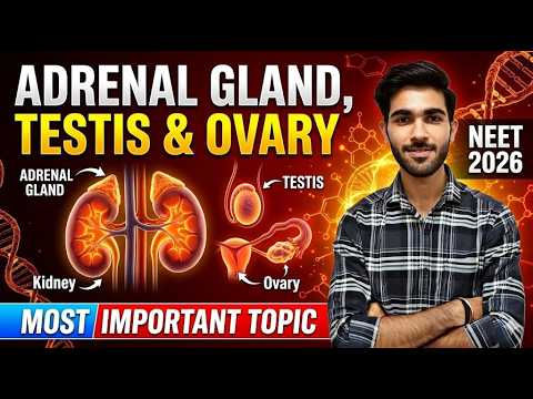 NEET 2026 Biology : Adrenal Gland, Testis & Ovary | Hemant Sir