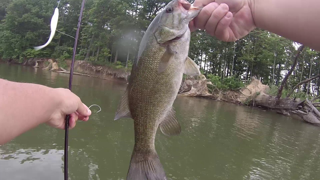 Awesome Fishing Day at Alum Creek Reservoir