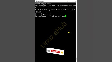 Proxy Configuration for Yum 🤩 | RHEL/CentOS