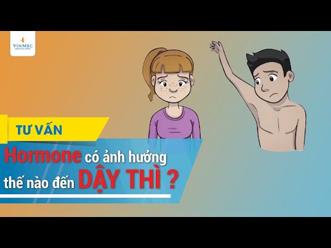 Video: Hormone ảnh Hưởng đến Chúng Ta Như Thế Nào