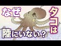 タコはなぜ陸にいない? 地球の歴史 その89