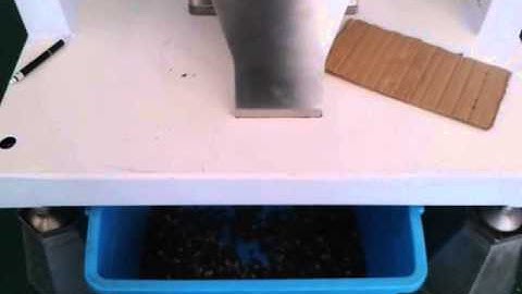 GROWKING color sorter, Sorting Red kidney beans 1st sorting