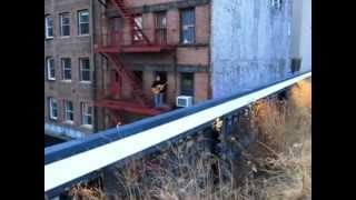 High Line elevated park, NYC, 2/25/2012