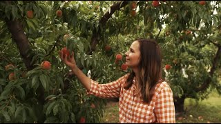 McLeod Farms- 2023 Peach Season