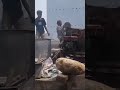 skill dewa tukang cor luar biiasaa
