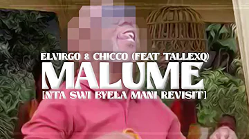 Elvirgo - Malume (Nta Swi Byela Mani Revisit) (Chicco feat. TallexQ) (Visualiser)