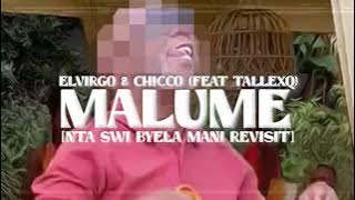 Elvirgo - Malume (Nta Swi Byela Mani Revisit) (Chicco feat. TallexQ) (Visualiser)