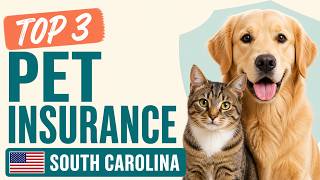 3 Best Pet Insurance in South Carolina in 2026
