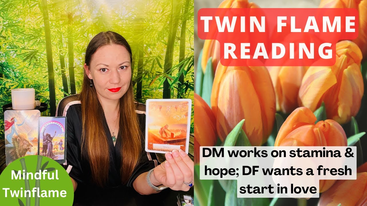 TWIN FLAME DM/DF Daily Update | DM works on stamina & hope; DF wants a ...