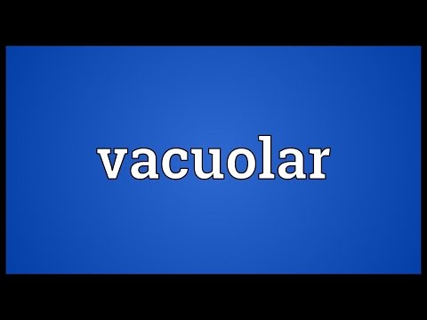 Header of vacuolar