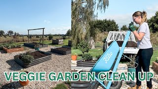 Revamping the Garden with Fresh Veggies and New Trees