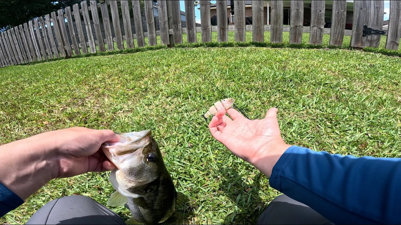 This Micro Swimbait Catches All the BASS!