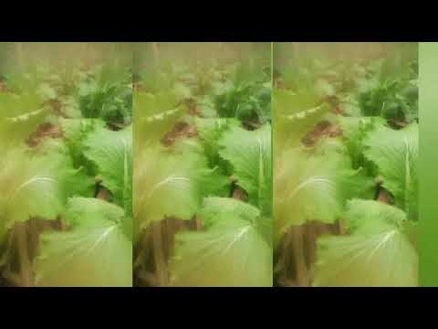 Video: Njia 3 za Kufikia