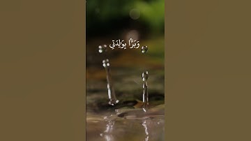 القرآن الكريم | محمود خليل الحصري #اكسبلور #المصحف #قرآن #quran