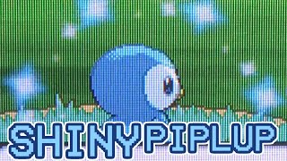 559 - LIVE! Shiny Piplup in Platinum after 3100 SRs!!!