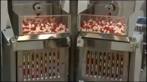 Capsule filling line with Polishing Machine, Automatic #Capsulefiller, Encapsulation Machine