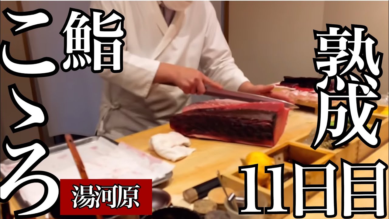 「湯河原の寿司」凄い、熟成マグロが出てきて大感動　鮨こゝろ　ハタの昆布締め、炭炙りキンメダイ、シマアジ