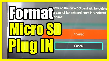 How to Format New Micro SD Card on Nintendo Switch (Free Up More Space)