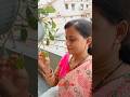 Happy Sabitri to all my friends 💝#shorts #viral #trending #madhu kitchen diaries#vlog