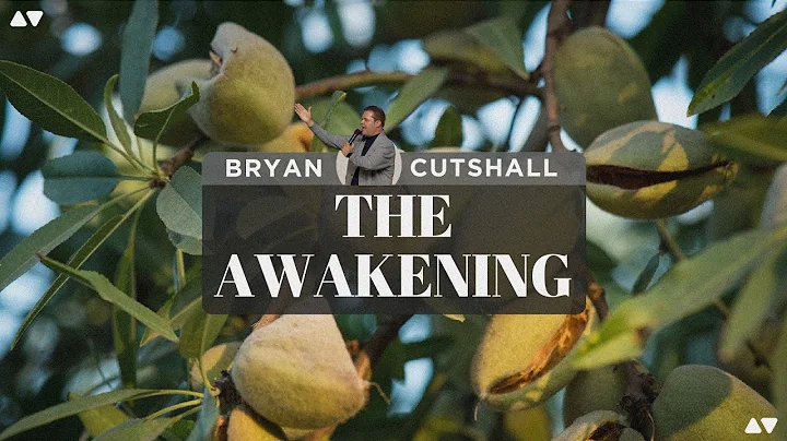 The Awakening | Bryan Cutshall