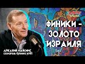 Аркадий Майофис. Финики - золото Израиля