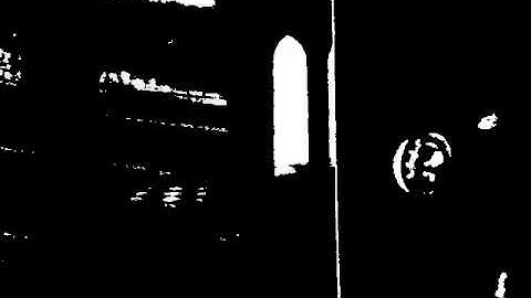 Real Time Video Image Processing for Art Project