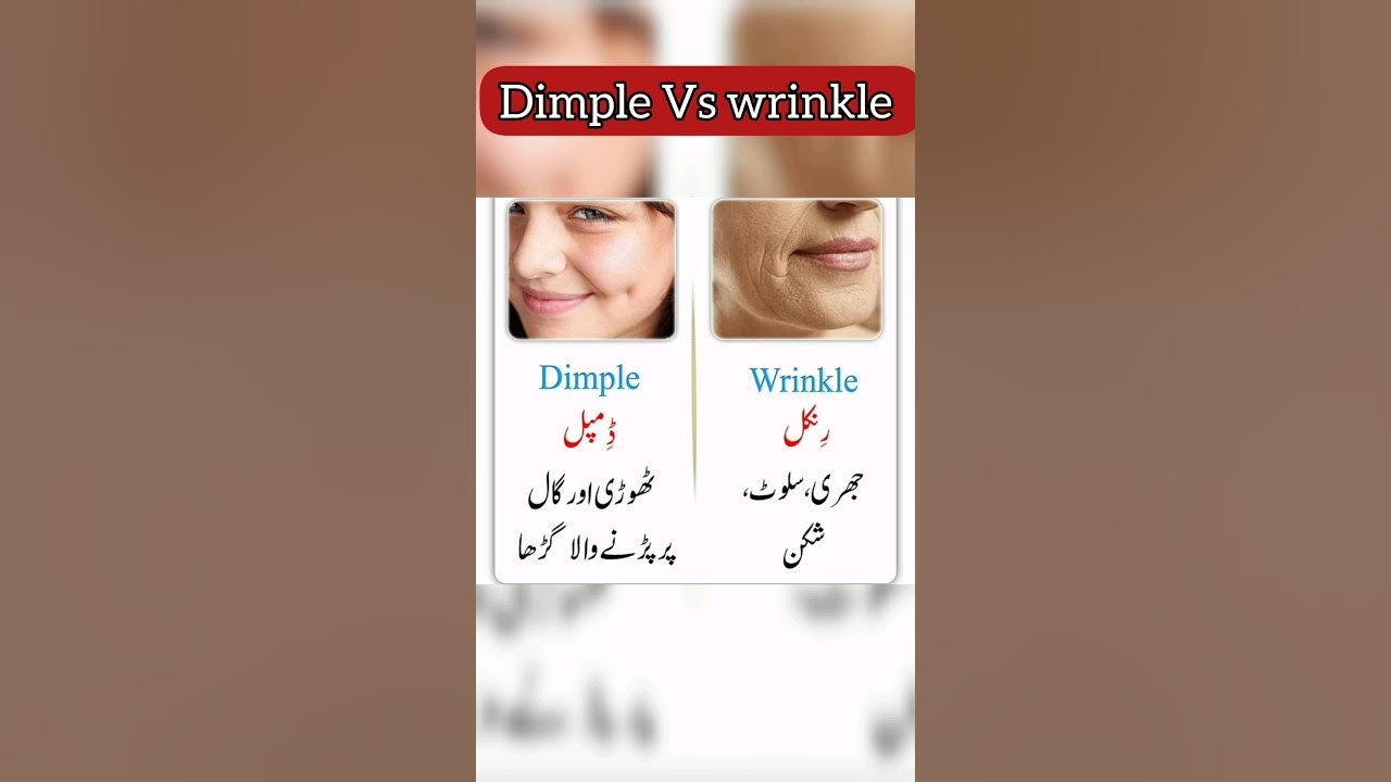 Dimple Vs wrinkle learnenglish englishliterature vocabulary 