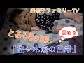 「佐々木家の日常」其の５「とある日の朝編」佐々木家の朝をリアルに撮影