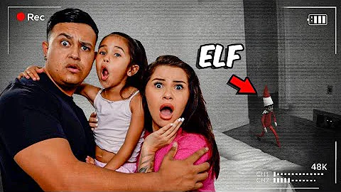 ELF ON A SHELF CAME TO LIFE AT 3AM! 
