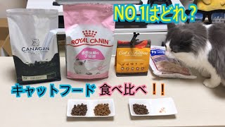 キャットフード同時に出したらどれ食べる？検証動画【ノルウェージャンフォレストキャット】