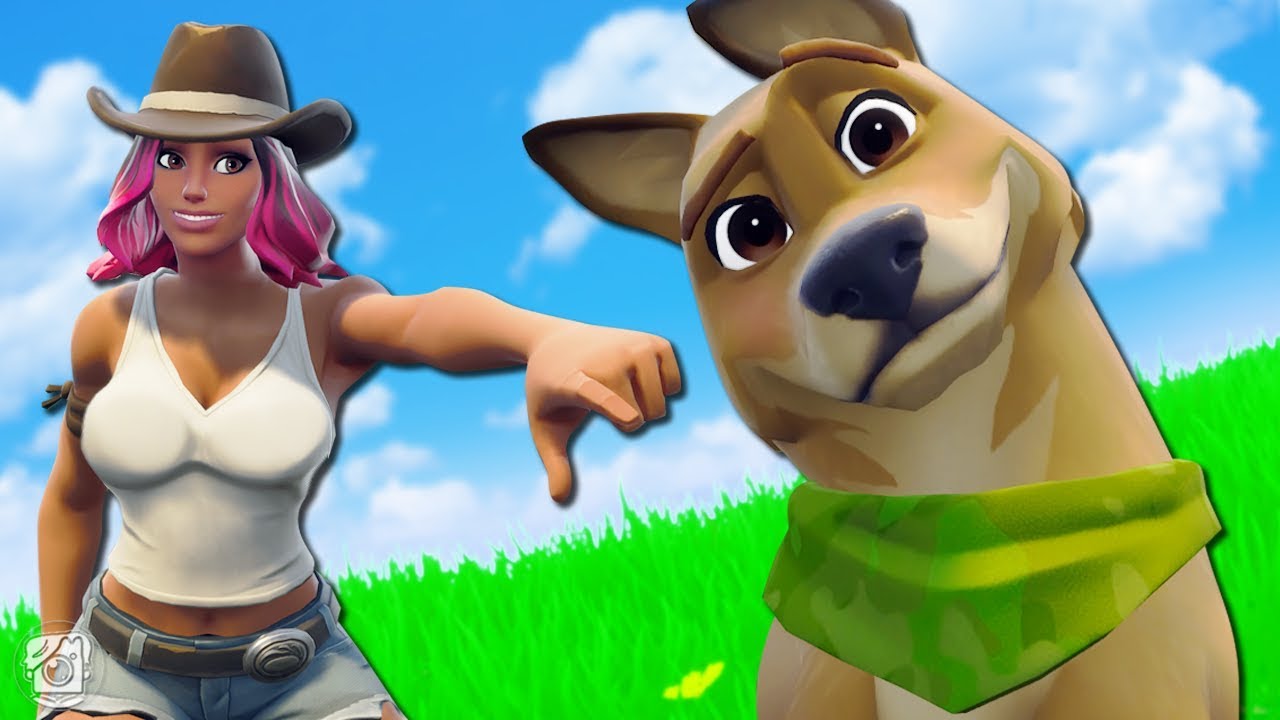 HOW TO TRAIN YOUR PET! (A Fortnite Short Film)