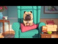 The Secret Life Of Pets