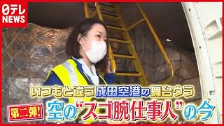 “プロフェッショナル”達のいま…いつもの違う「成田空港」空の“スゴ腕仕事人”（2021年4月14日放送「news every.」より）