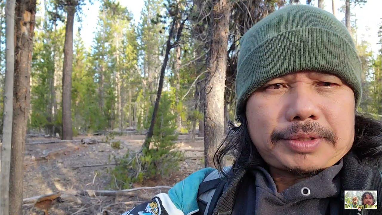 วิธีหาเงินทำมะชาคในอเมกา (EP.105) เก็บเห็ดมัตสะทักกี Matsutake