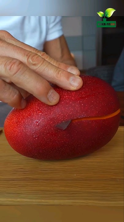 Miyazaki Mango So Fresh The Most Expensive Mango In The World YouTube miyazaki-mango-so-fresh-the-most-expensive-mango-in-the-world-youtube